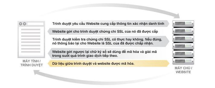 ssl-certificate